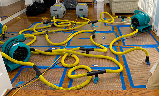 Professional Emergency Water Removal technician working in Danville, CA
